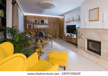 Living-room interior of modern house