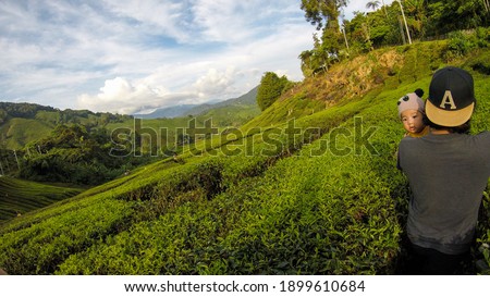 Views of tea plantations in Cameron Highlands. There is in this photo a baby with his father.
