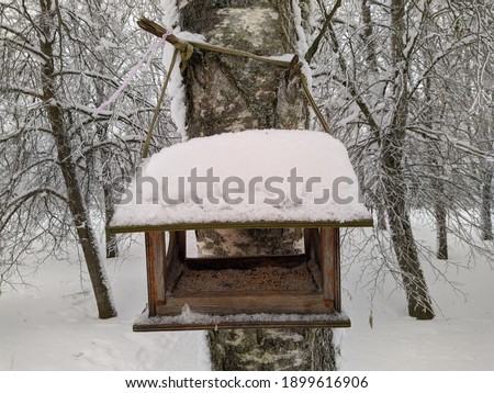 wooden birdhouse with snow hung on a tree in the winter season