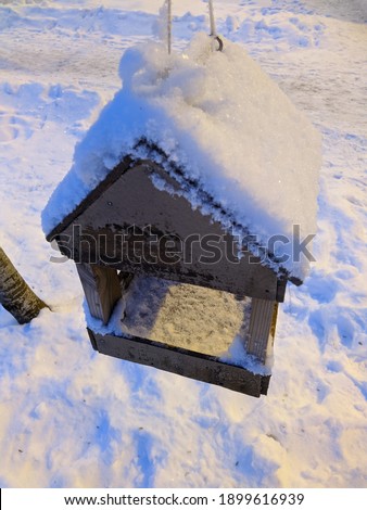 wooden birdhouse with snow hung on a tree in the winter season at night