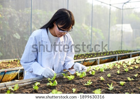 The female botanist, geneticist, or scientist is working in greenhouses full of plants. Royalty-Free Stock Photo #1899630316