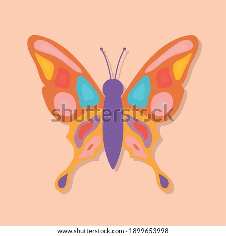 hand drawn butterfly in a orange background vector illustration design