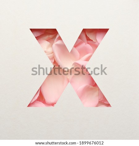Font design, Abstract alphabet font with pink rose petals, realistic flower typography - X