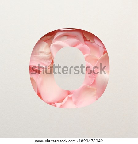 Font design, Abstract alphabet font with pink rose petals, realistic flower typography - O