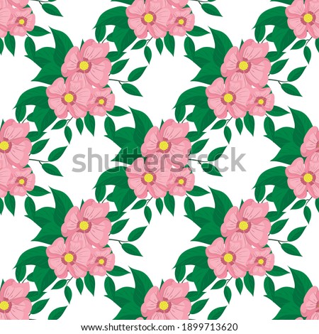 Pink flowers, seamless pattern, vector illustration