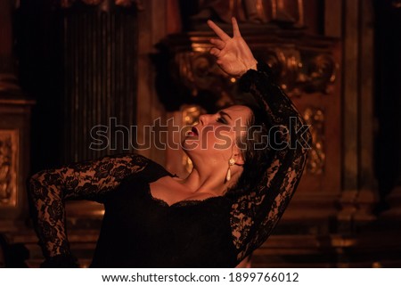 The beautiful girl dances passionately flamenco.
 Royalty-Free Stock Photo #1899766012