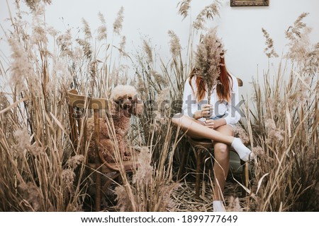 red haired girl closes her face and sits on a chair wearing a white shirt and denim shorts in a space decorated with dry grass and flowers in a retro style with her dog a red poodle