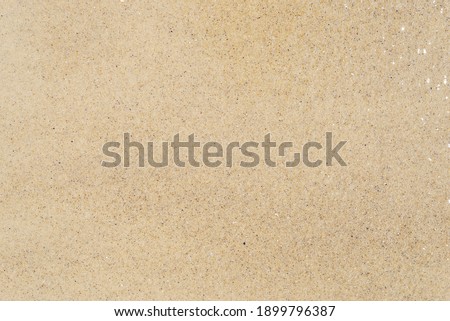 yellow sand texture. detailed photo with sand.