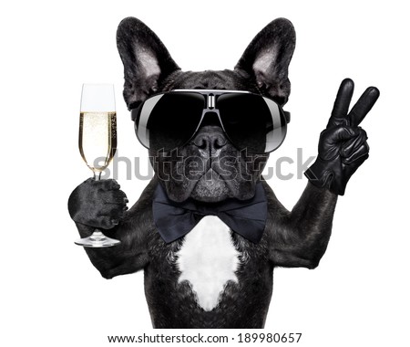 french bulldog with a  champagne glass and victory or peace fingers Royalty-Free Stock Photo #189980657