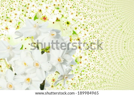 white spring flower texture background 