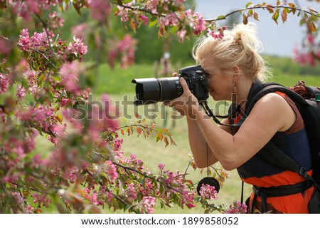 Female nature photographer takes pictures in an apple orchard. Stylish woman between flowering trees with a camera