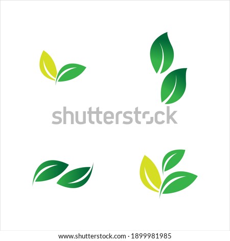 leaf logo vector illustration  design template