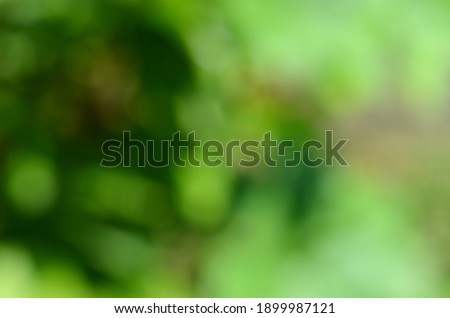 Soft blurred background, green natural, moist, bright, pastel color background with soft gradient wallpaper.