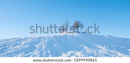 Winter landscape, several trees on top of a snow-capped mountain against a blue sky without clouds. Sun rays.