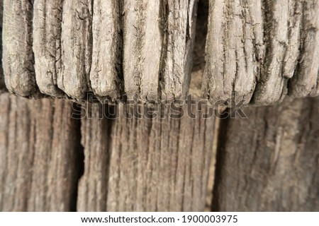 Abstract background dry wood core.