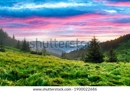 Lush green grass covered mountains meadow in sunset time. Purple light glowing on a foreground. Landscape photography. Nature background Royalty-Free Stock Photo #1900022686