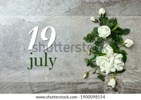 July 19th. Day 19 of month, Calendar date. Stylish roses flat lay. White roses border on pastel grey background with calendar date. Autumn month, day of the year concept Summer