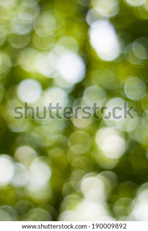 Bright green and white blur bokeh abstract light background