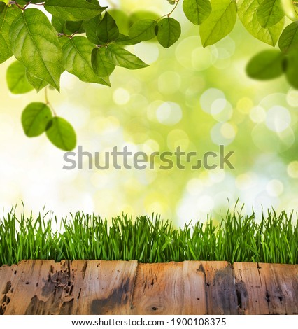 Table background of free space for your decoration and spring ti
