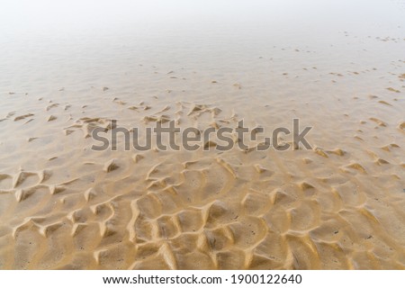 A close up view of sand structures at low tide on a beach