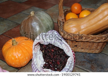Colorful pumpkins, berries, rose hips and oranges