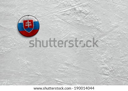 Washer with the image of the Slovak flag on a hockey rink