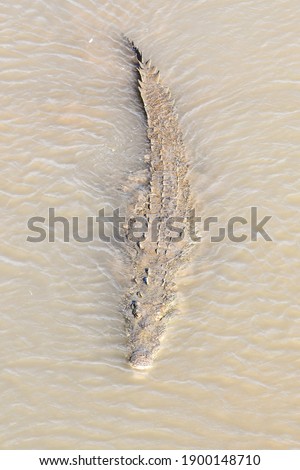 feather on the sand, photo as a background, digital image