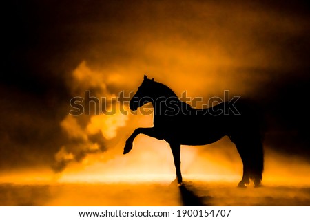 Horse silhouette agains an orange smokey background doing jambette