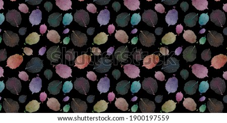 Colored leaf border. Black background. The leaves are real, not painted. Floral pattern. Multicolored leaves on a black background.
