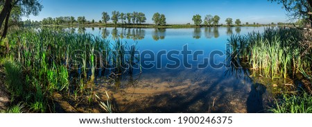 Beautiful panoramic view of river in the summer morning. Amazing beauty of nature.