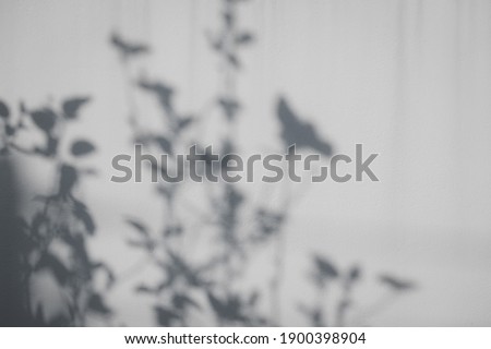 Tropical leaves natural shadow overlay on white texture background