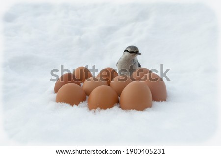 Yellow eggs and a bird sitting near them.