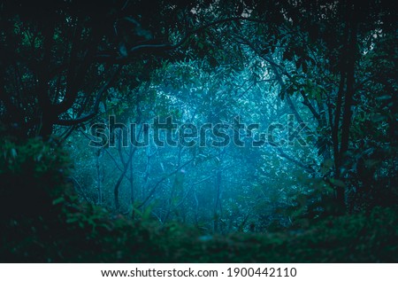 Magical Forest view in the morning meadow beautiful scenery  Royalty-Free Stock Photo #1900442110