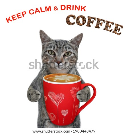 A gray cat holds a red cup of coffee. Keep calm and drink coffee. White background. Isolated.