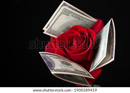 image of flower money dark background 