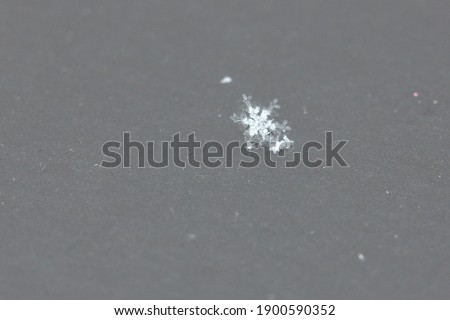 snowflake close-up snow for christmas