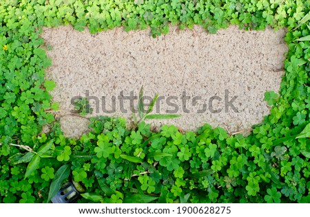 A brick with smaller plants surrounds like a picture frame.