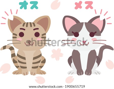 Illustration of a pair of local cat whose ear was cut and Japanese letter. Translation : "Male" "Female"