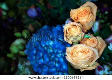 beautiful flowers wall background with amazing roses