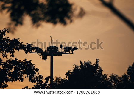 Beautiful picture of tree branches and big road light. Selective Focus On Subject