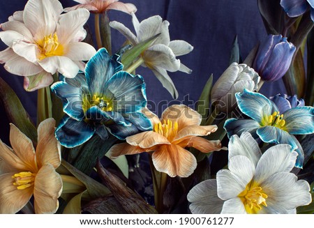 Colorful tulips in bouquet, flowers composition on the table. Royalty-Free Stock Photo #1900761277