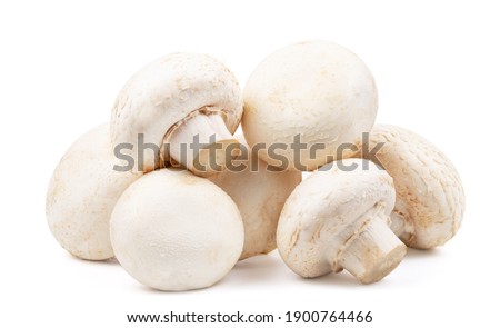 group of mushroom isolated on white background Royalty-Free Stock Photo #1900764466