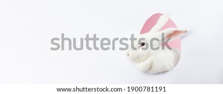 white Easter cute fluffy bunny peeks out of the silhouette an egg on  pastel pink background. Easter bunny for the religious holiday of spring Easter. Greeting card, close-up, Minimalism. Photo banner