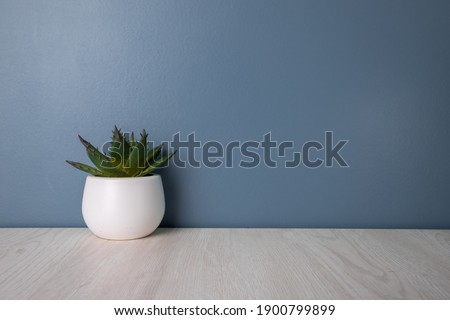 
small plant on the desk
