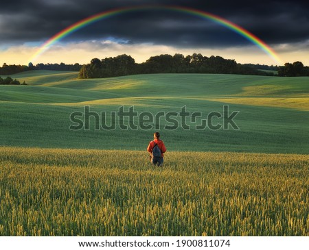 Woman Looking At Rainbow. colorful rainbow over a hilly field
