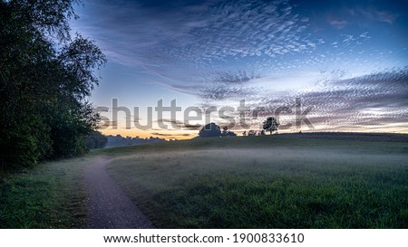 Calm meadow with fog in the blue hour