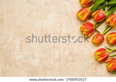 Yellow and red tulip flowers on a marbled beige background.card for valentine's day,birthday,ladies day,place for text,greeting card,wedding invitation. Flat lay, top view,Art flowers background 