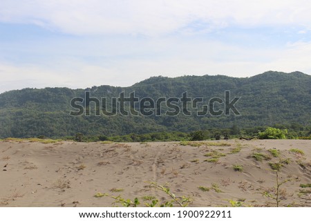 white sand overgrown with grass against a forest background in hills with a clear sky