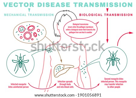 Infectious disease transmission landscape poster. Virus pandemic transfer. Environmental factor. Medical, safety, health infographic design. The illustration isolated on white background.