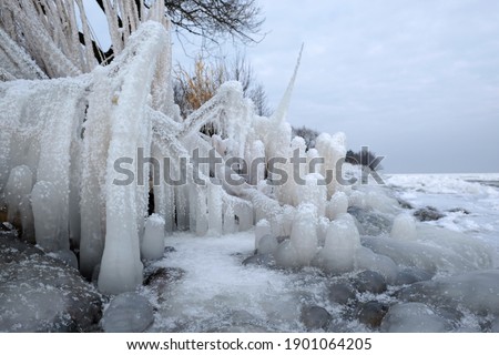 Beautiful natural phenomenon - ice covered bushes and long icicles on the coast at the Vistula mouth to the Baltic, Sobieszewska Island, Poland
